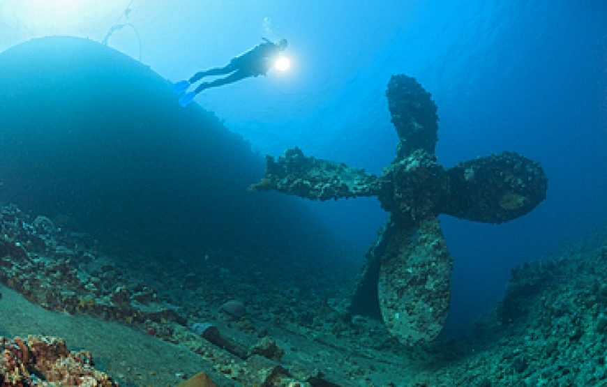 Diving – 7 Days Program