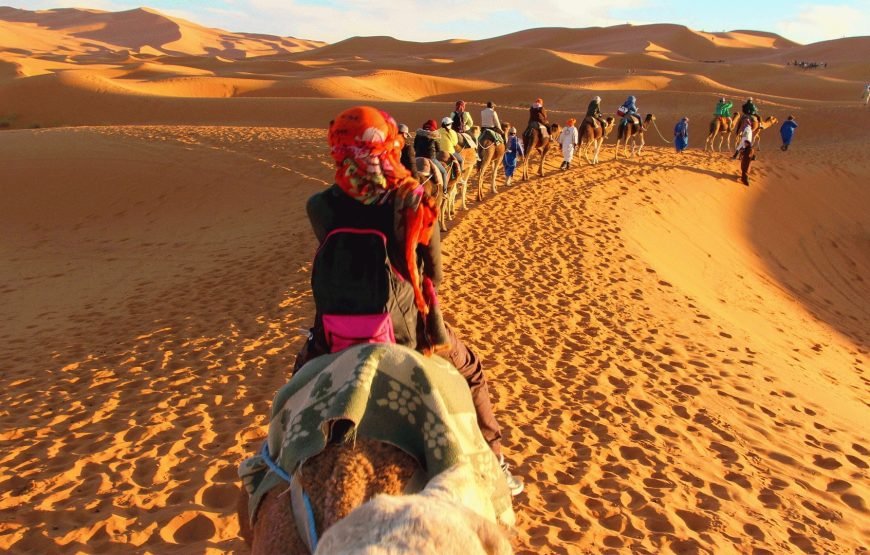 Nubian Kingdom Trip – 12 days