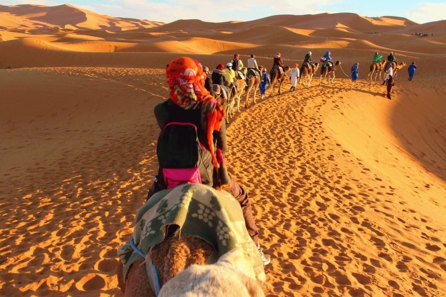 Nubian Kingdom Trip – 12 days